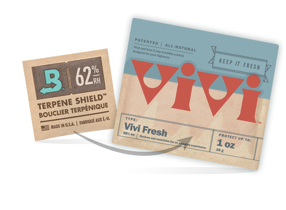 vivi-fresh-transition-cvault-qr-lp_v2